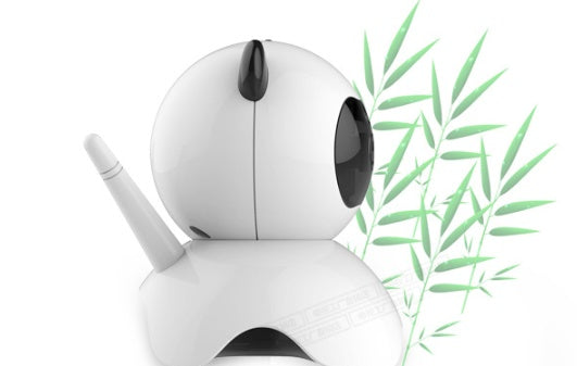 AlertEye Care Home Security Camera