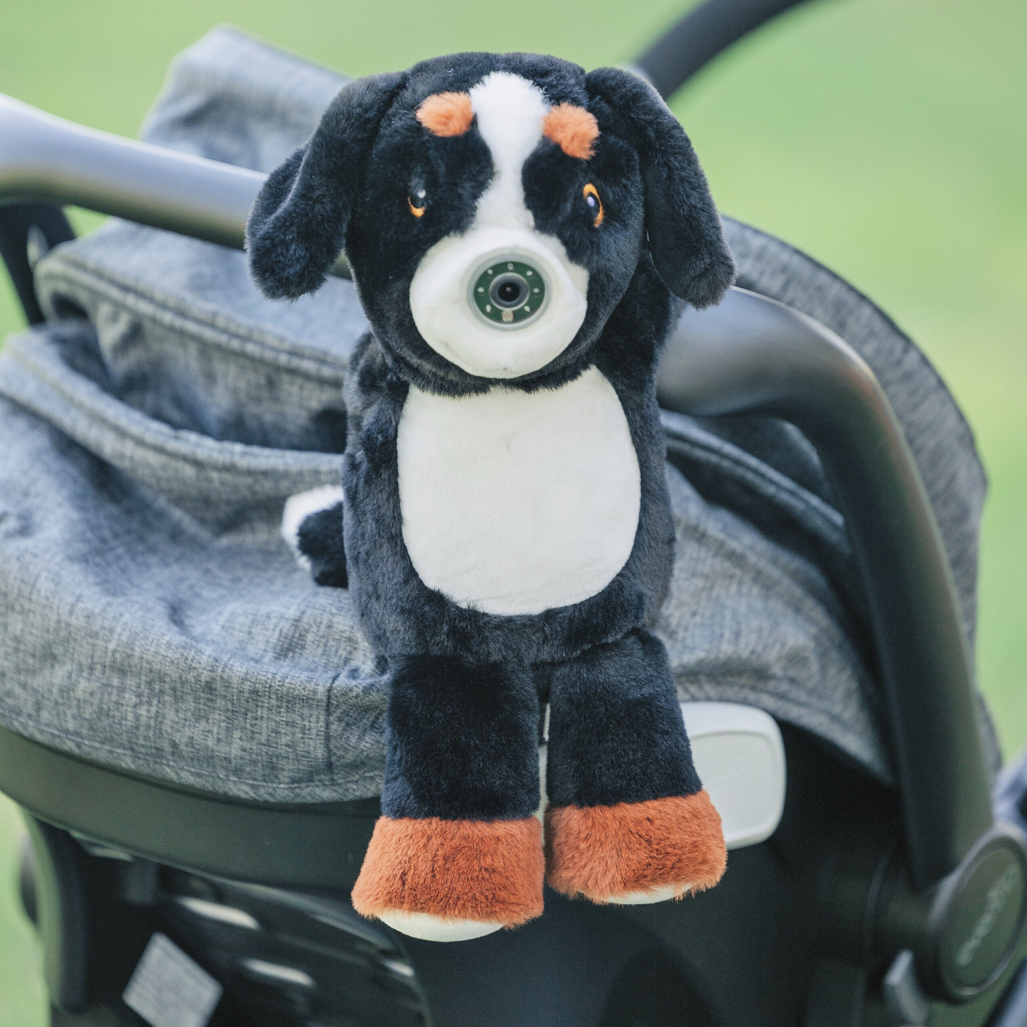 Zooby® baby monitor | Cooper Canine