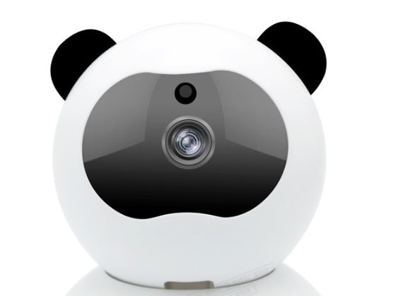 AlertEye Care Home Security Camera