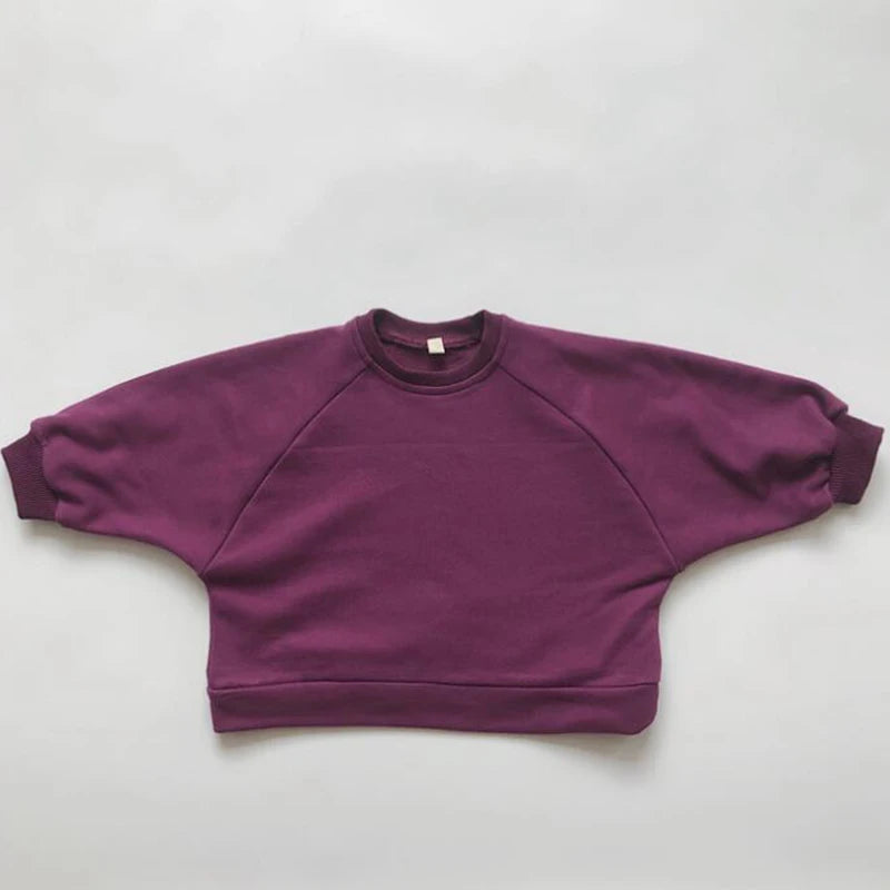 Rosa Korean Style Autumn Spring Boy Sweater