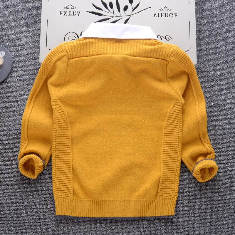 Formal Turn Down Collar Sweater Cottons Winter Thicken