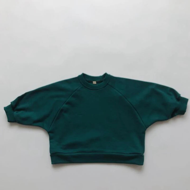 Rosa Korean Style Autumn Spring Boy Sweater