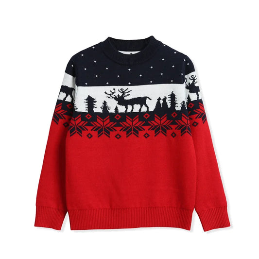 Nick Boys Double Thickening Pullover Sweater - GuGuTon baby store - Baby Fashion - Toddlers Outfits - Babies Outfits - Toddler Clothes - Kids Clothing - Newborn Clothes - Newborn Wear - Kids Wear - Trending Clothes - Trending Outfits - Fall Fashion - Winter Fashion - Girls Clothes - Boys Clothes - Babies Wear - Kids Accessories - KidsWear - Summer Clothes - Summer Fashion - Summer Trend - Falls Sweaters - Tops - Bottom - Jeans - Blouse - Dresses - Newborn Dresses - Toys