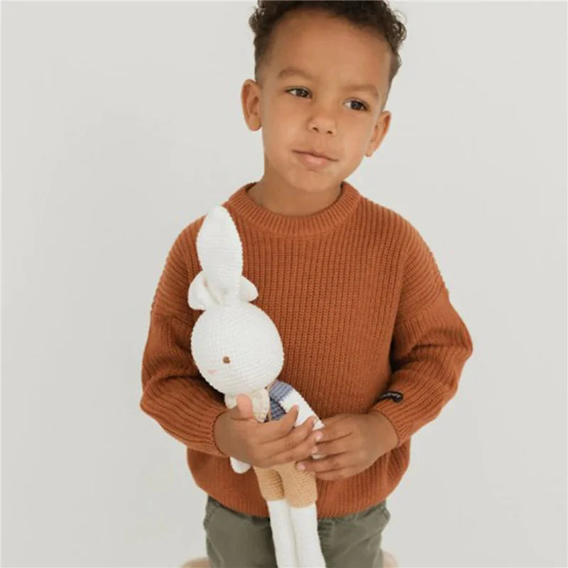 Daniel Long Sleeve Autumn Winter Sweater