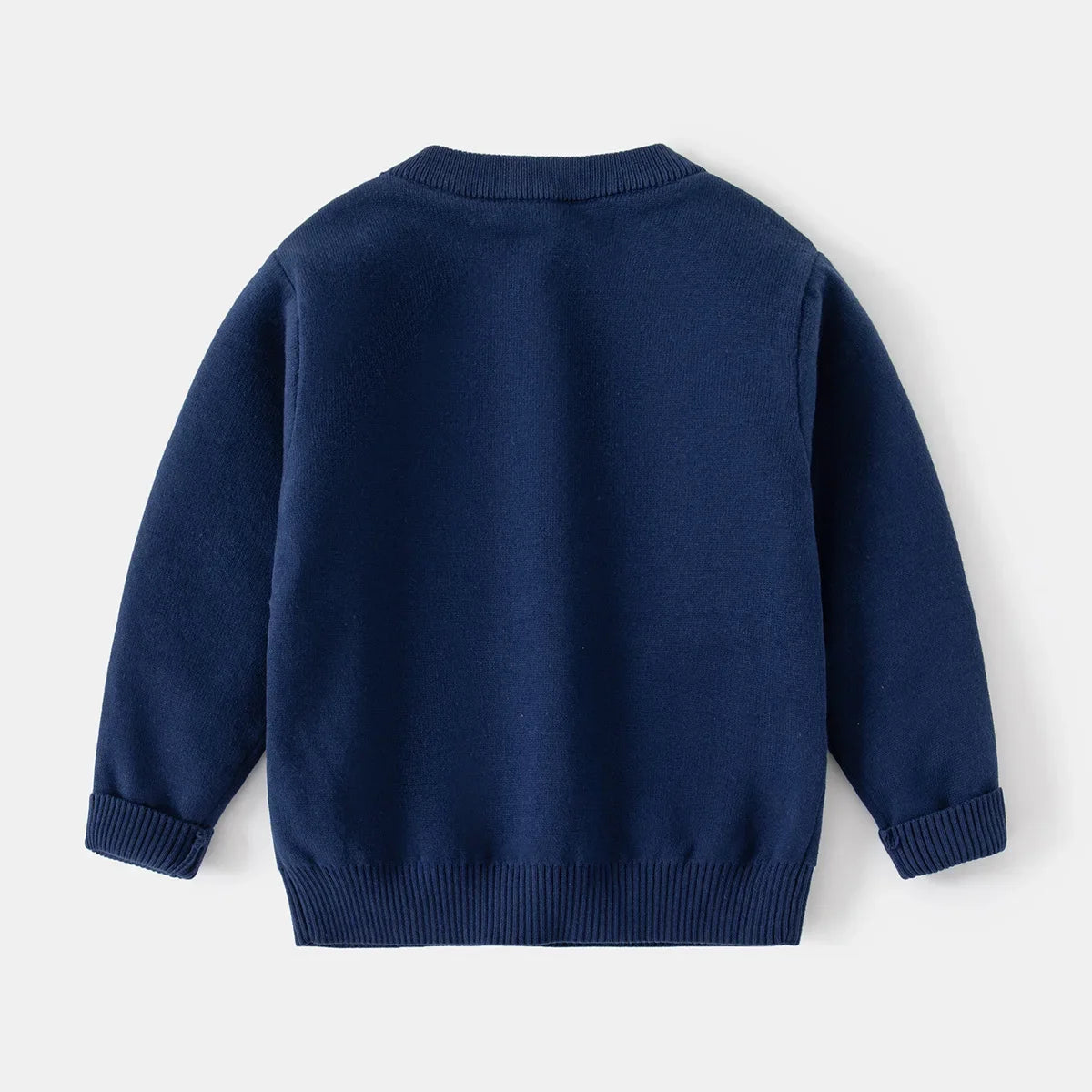 Arnold Dinosaur Spring Clothing Sweater