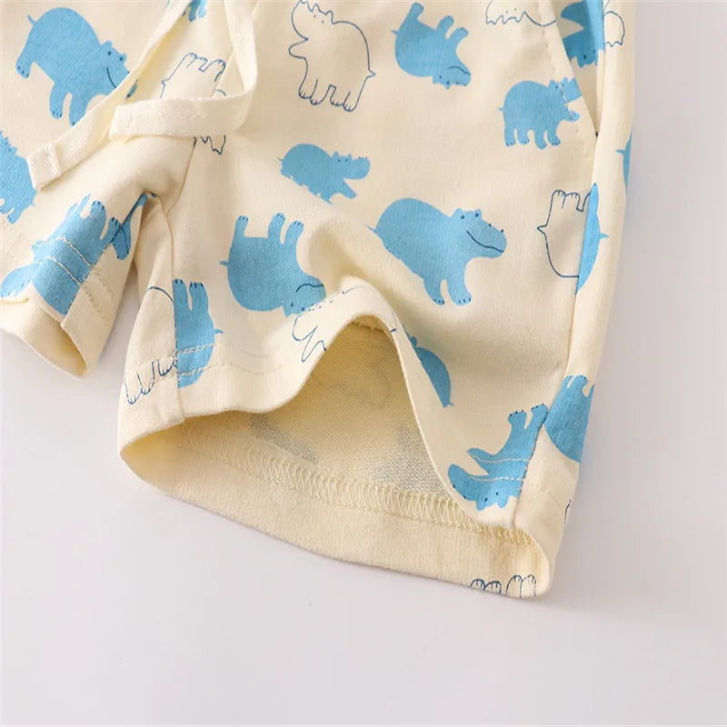 Wander Summer Shorts Boys Pockets Stripe print
