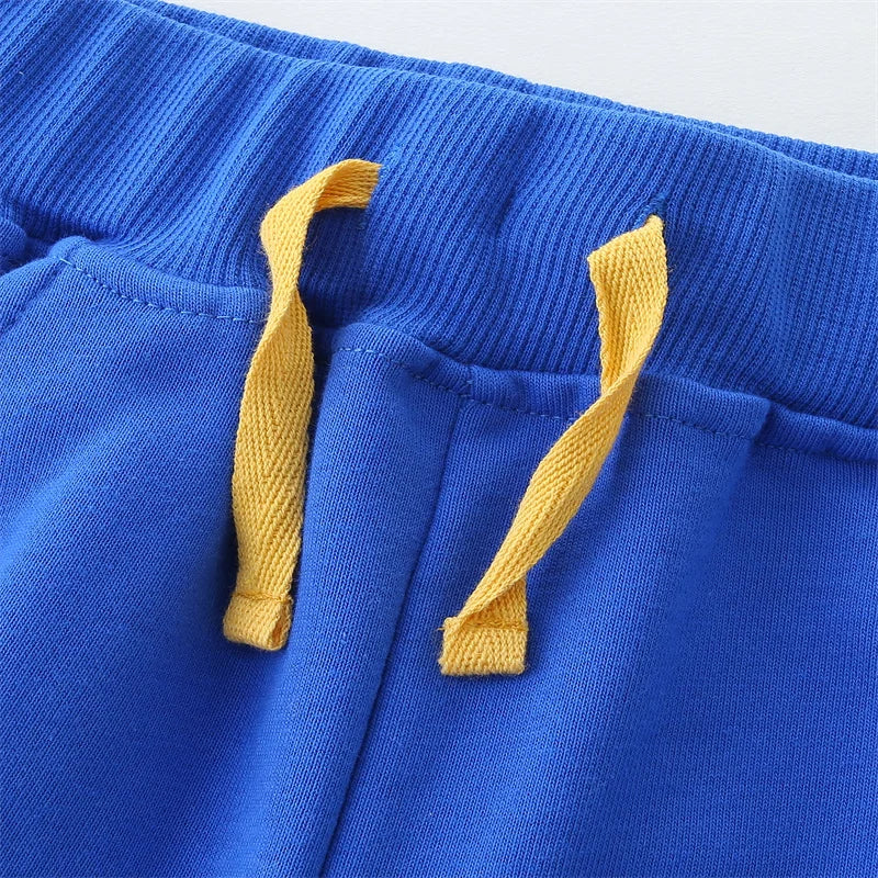 Camilo Lion Embroidery Children's Shorts For Boys