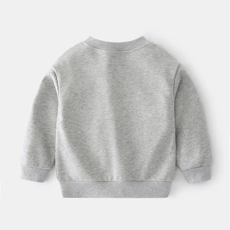 Gabriel Honey Cherry Fall Boy's Sweaters