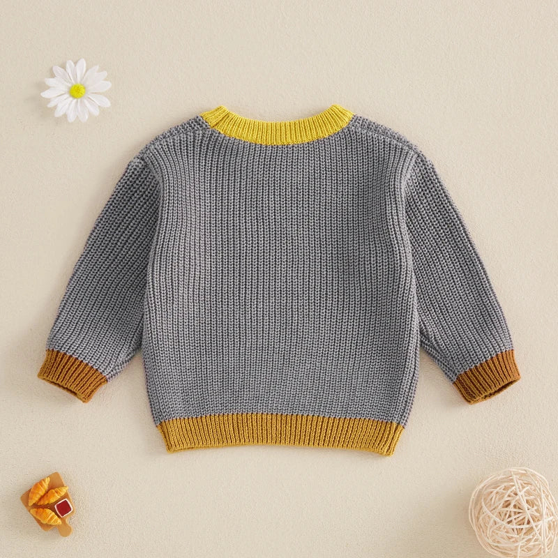Marcos Cute Toddler Cable Knit Sweater