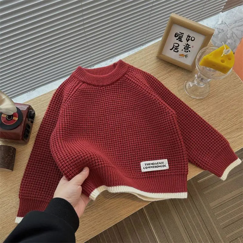 Winston Color Contrast Warm Knitted Sweater
