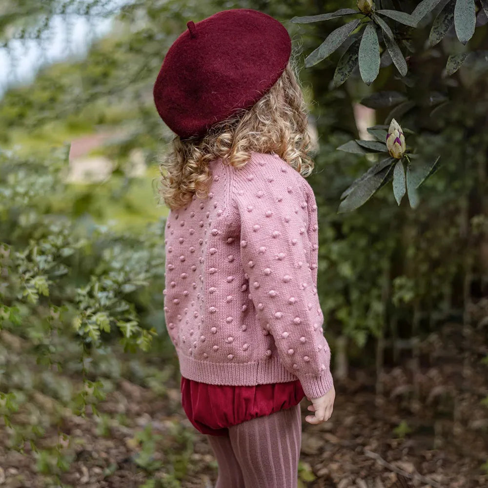 Giulia Fashion Baby Girls Knitted Cotton Toddler Girls Spring
