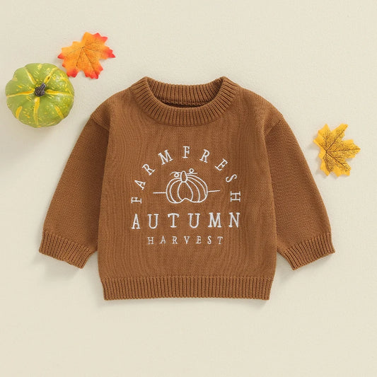 Anuel Letters Pumpkin Embroidery Sweater - GuGuTon baby store - Baby Fashion - Toddlers Outfits - Babies Outfits - Toddler Clothes - Kids Clothing - Newborn Clothes - Newborn Wear - Kids Wear - Trending Clothes - Trending Outfits - Fall Fashion - Winter Fashion - Girls Clothes - Boys Clothes - Babies Wear - Kids Accessories - KidsWear - Summer Clothes - Summer Fashion - Summer Trend - Falls Sweaters - Tops - Bottom - Jeans - Blouse - Dresses - Newborn Dresses - Toys