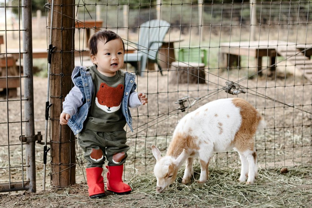 Keiter Barefoot Shoes Set- Zenith Shoe Bundle - GuGuTon baby store - Baby Fashion - Toddlers Outfits - Babies Outfits - Toddler Clothes - Kids Clothing - Newborn Clothes - Newborn Wear - Kids Wear - Trending Clothes - Trending Outfits - Fall Fashion - Winter Fashion - Girls Clothes - Boys Clothes - Babies Wear - Kids Accessories - KidsWear - Summer Clothes - Summer Fashion - Summer Trend - Falls Sweaters - Tops - Bottom - Jeans - Blouse - Dresses - Newborn Dresses - Toys