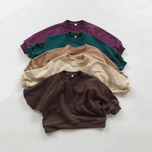 Roberto Pullover Long Sleeve Tees