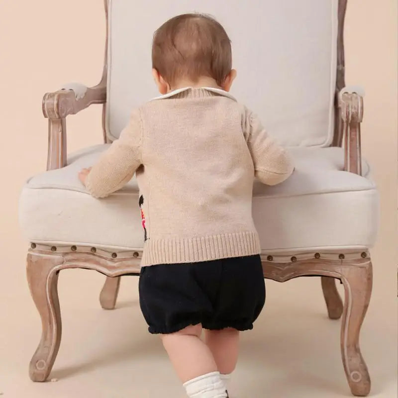 Aldo Coat for Newborn Autumn Knitted Sweater