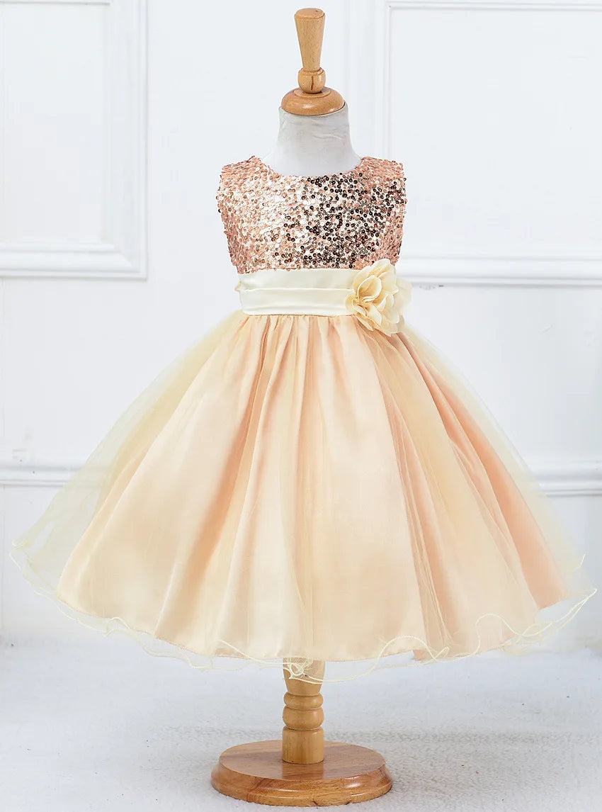 Baby Children Girl Dress NEW Kids Ceremonies Party Summer Princess Wedding Party Dress
