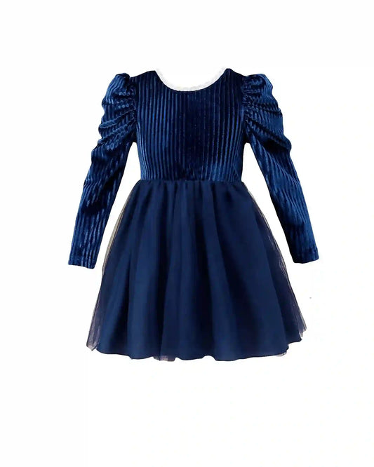 Toddler Girl Velvet Princess Dress - Blue Tutu Backless