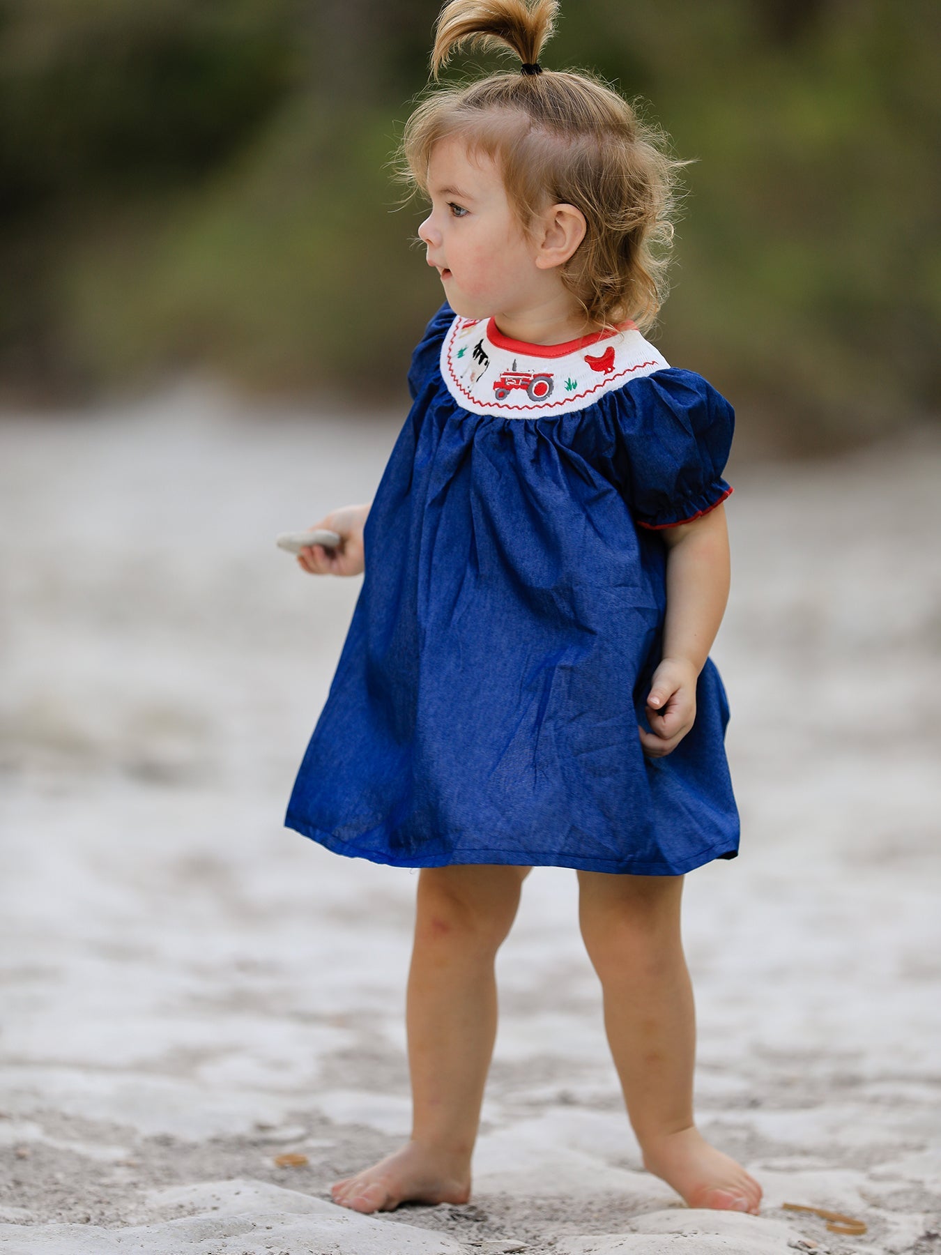 Katherine Girls Farm Smocking Embroidered Blue Dress