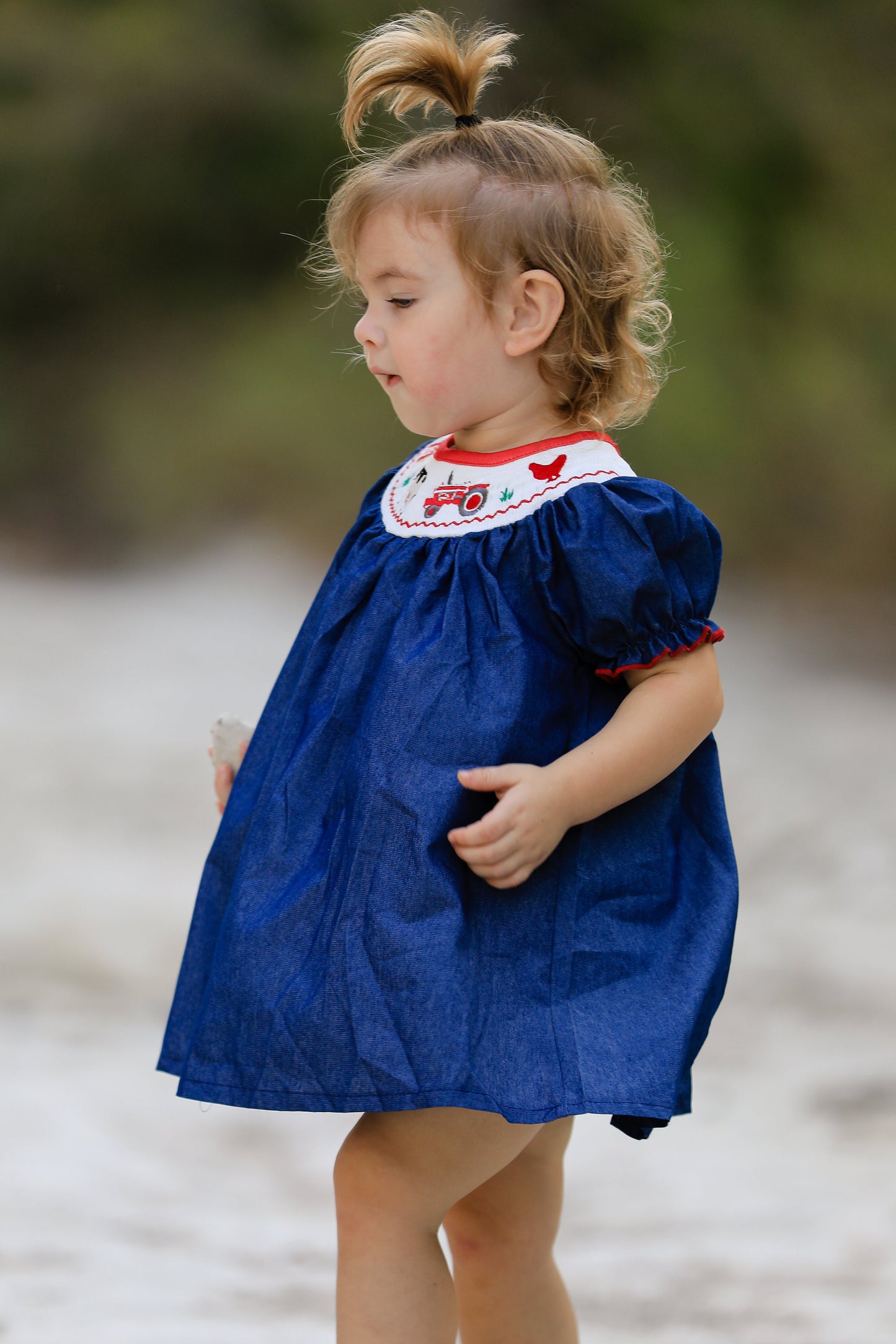 Katherine Girls Farm Smocking Embroidered Blue Dress