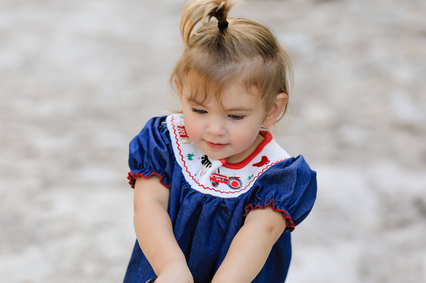 Katherine Girls Farm Smocking Embroidered Blue Dress