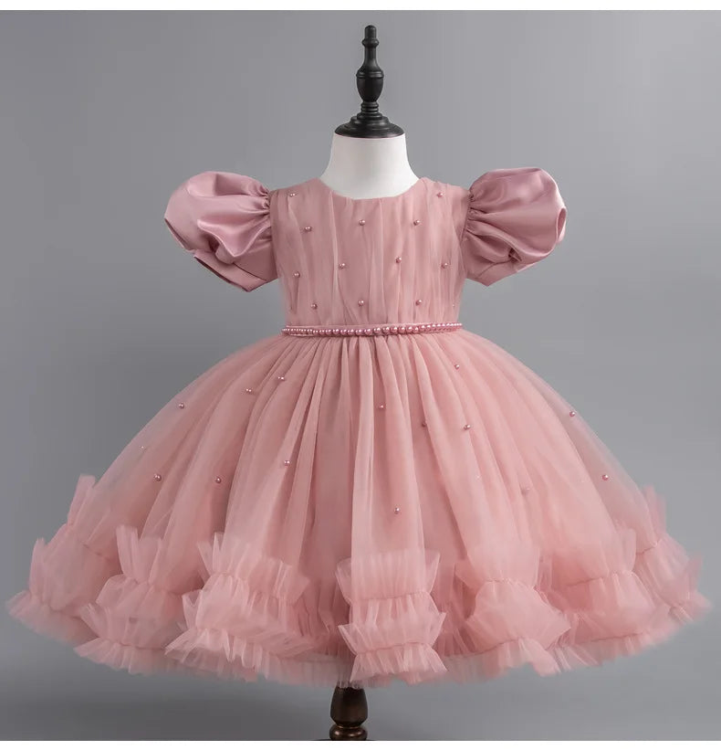 Baby Girl Princess Dress Girls' Daily Dresses Tulle Ball Gown Kid Girls Clothes