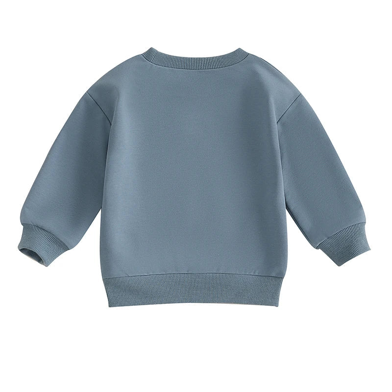 Jeison Toddler Boys Big Brother Letter Print Long Sleeve Pullover