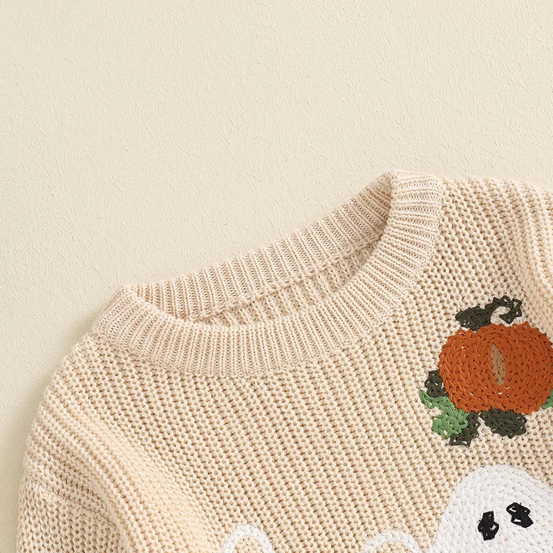 Adrian Long Sleeve Boys And Girls Winter Sweater