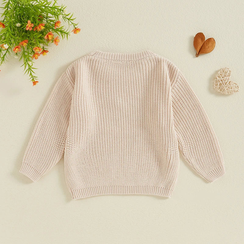 Nahiomy Girls Big Sister Fall Winter Sweater Casual Letter Flower Embroidery