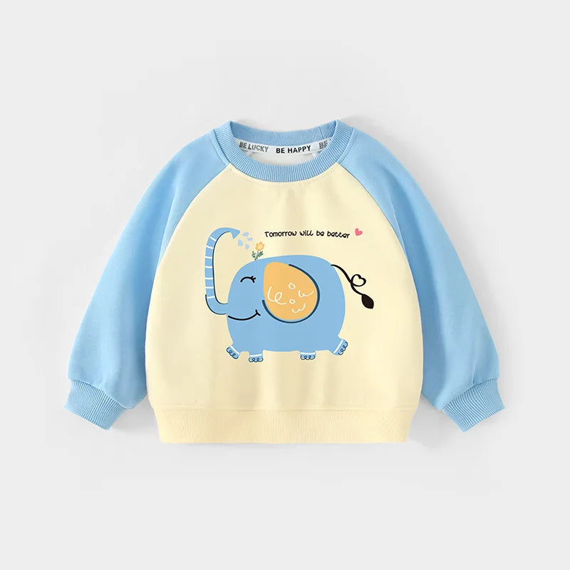 Matias Loose Raglan Splice Sleeve Sweater