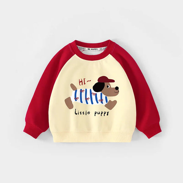 Matias Loose Raglan Splice Sleeve Sweater