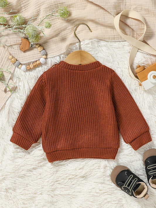 Arturo Long Sleeve Solid Sweater