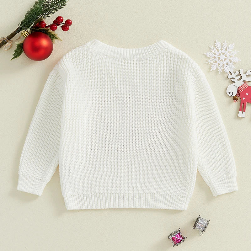 Sammy Long Sleeve Crew Neck Knit Pullover Sweater