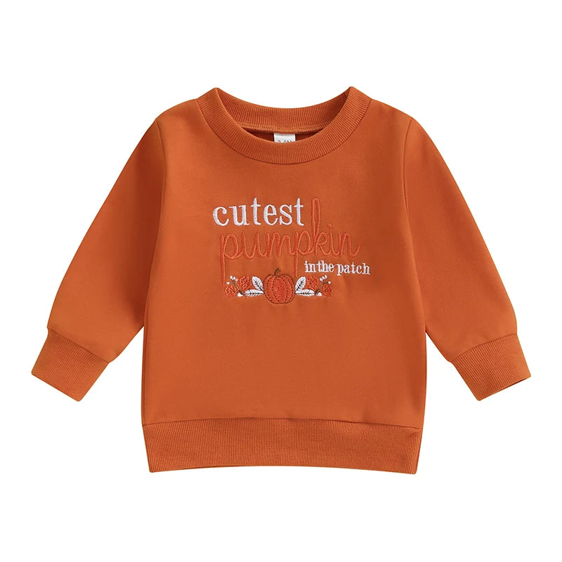 Abel Pumpkin Embroidery O Neck Fall Pullovers Sweater - GuGuTon baby store - Baby Fashion - Toddlers Outfits - Babies Outfits - Toddler Clothes - Kids Clothing - Newborn Clothes - Newborn Wear - Kids Wear - Trending Clothes - Trending Outfits - Fall Fashion - Winter Fashion - Girls Clothes - Boys Clothes - Babies Wear - Kids Accessories - KidsWear - Summer Clothes - Summer Fashion - Summer Trend - Falls Sweaters - Tops - Bottom - Jeans - Blouse - Dresses - Newborn Dresses - Toys