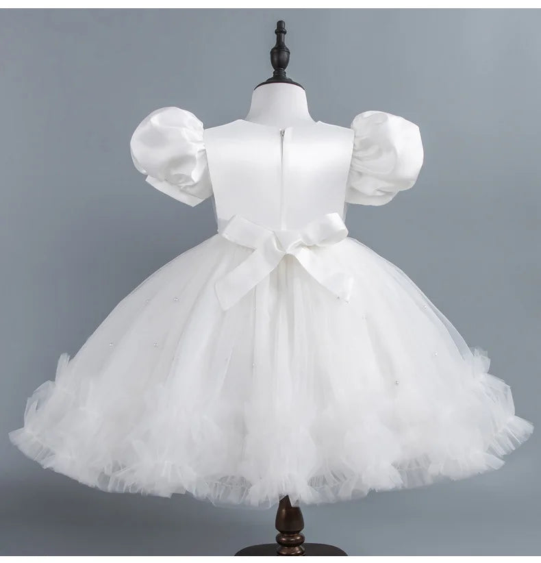 Baby Girl Princess Dress Girls' Daily Dresses Tulle Ball Gown Kid Girls Clothes