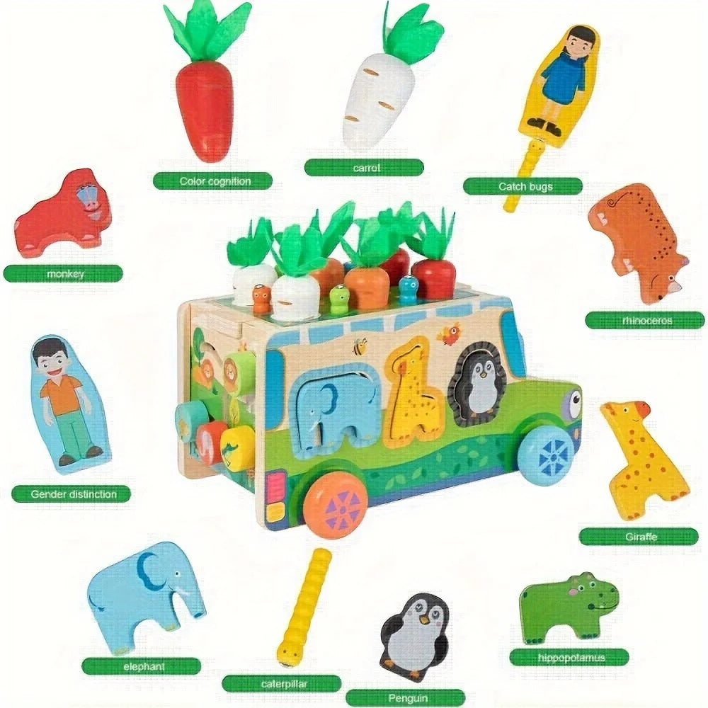 Montessori Wooden Toys Carrot Shape Sorting Matching Game