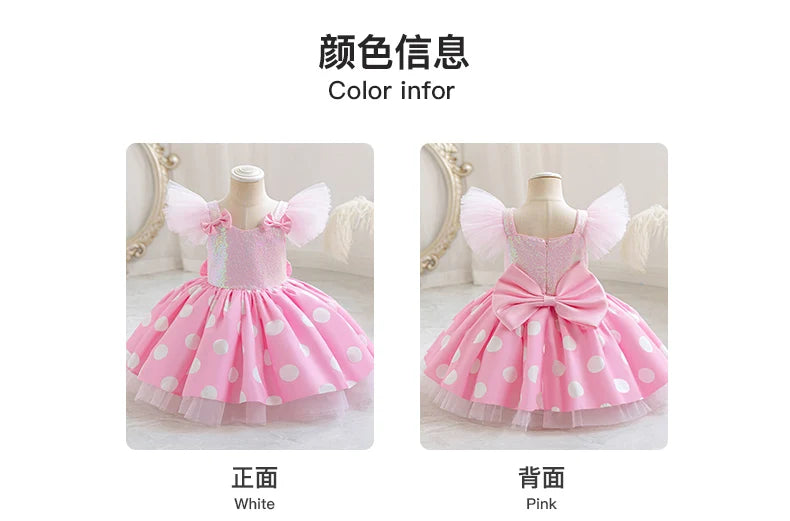 Girls' Princess Dress, Baby's First Birthday Tutu Dress, Flower Girl Wedding Dress