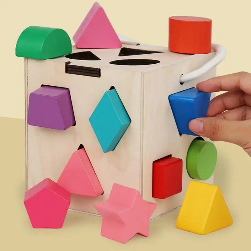 Montessori Shape Sorter Wooden Sorting Develop Fine Motor Skills Toy
