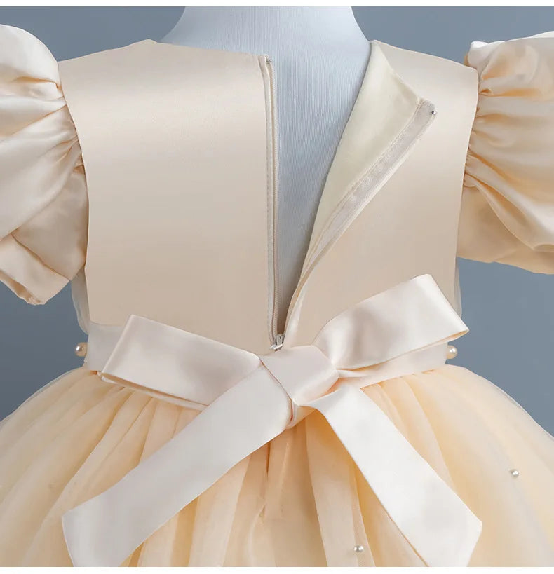 Baby Girl Princess Dress Girls' Daily Dresses Tulle Ball Gown Kid Girls Clothes