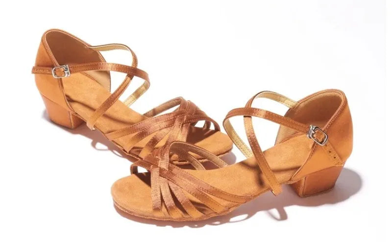 Girls Latin Dance Shoes Low Heel Soft Sole Beginner Kids Ballroom Practice Training Stage Girls Performance Dancing Footwear