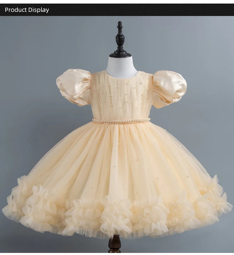 Baby Girl Princess Dress Girls' Daily Dresses Tulle Ball Gown Kid Girls Clothes
