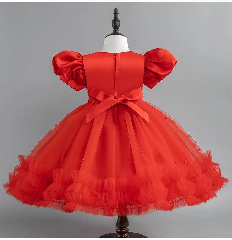 Baby Girl Princess Dress Girls' Daily Dresses Tulle Ball Gown Kid Girls Clothes