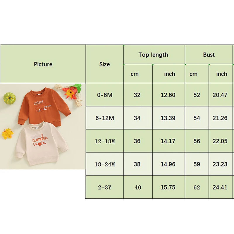 Abel Pumpkin Embroidery O Neck Fall Pullovers Sweater - GuGuTon baby store - Baby Fashion - Toddlers Outfits - Babies Outfits - Toddler Clothes - Kids Clothing - Newborn Clothes - Newborn Wear - Kids Wear - Trending Clothes - Trending Outfits - Fall Fashion - Winter Fashion - Girls Clothes - Boys Clothes - Babies Wear - Kids Accessories - KidsWear - Summer Clothes - Summer Fashion - Summer Trend - Falls Sweaters - Tops - Bottom - Jeans - Blouse - Dresses - Newborn Dresses - Toys