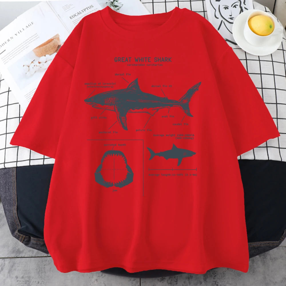 Dionis Great White Shark Anatomy T-Shirt Tops - GuGuTon baby store - Baby Fashion - Toddlers Outfits - Babies Outfits - Toddler Clothes - Kids Clothing - Newborn Clothes - Newborn Wear - Kids Wear - Trending Clothes - Trending Outfits - Fall Fashion - Winter Fashion - Girls Clothes - Boys Clothes - Babies Wear - Kids Accessories - KidsWear - Summer Clothes - Summer Fashion - Summer Trend - Falls Sweaters - Tops - Bottom - Jeans - Blouse - Dresses - Newborn Dresses - Toys