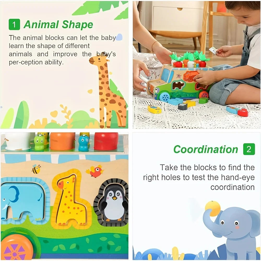 Montessori Wooden Toys Carrot Shape Sorting Matching Game