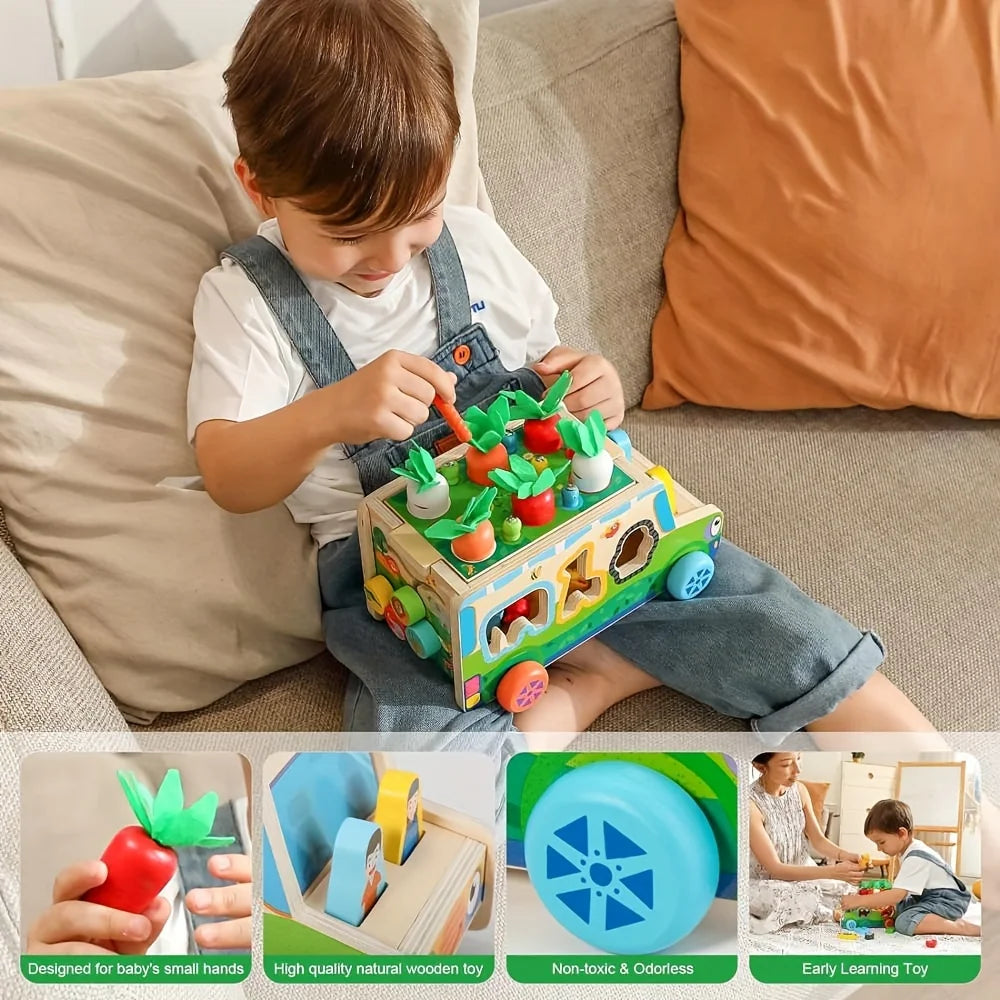 Montessori Wooden Toys Carrot Shape Sorting Matching Game