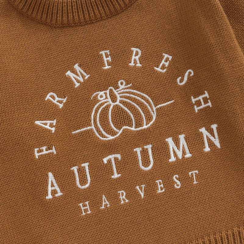 Anuel Letters Pumpkin Embroidery Sweater - GuGuTon baby store - Baby Fashion - Toddlers Outfits - Babies Outfits - Toddler Clothes - Kids Clothing - Newborn Clothes - Newborn Wear - Kids Wear - Trending Clothes - Trending Outfits - Fall Fashion - Winter Fashion - Girls Clothes - Boys Clothes - Babies Wear - Kids Accessories - KidsWear - Summer Clothes - Summer Fashion - Summer Trend - Falls Sweaters - Tops - Bottom - Jeans - Blouse - Dresses - Newborn Dresses - Toys