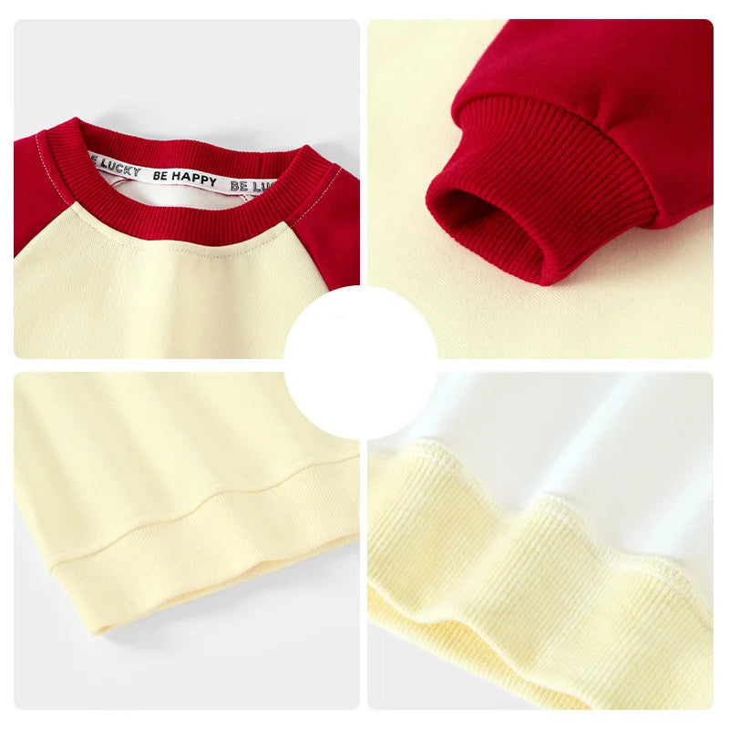 Matias Loose Raglan Splice Sleeve Sweater