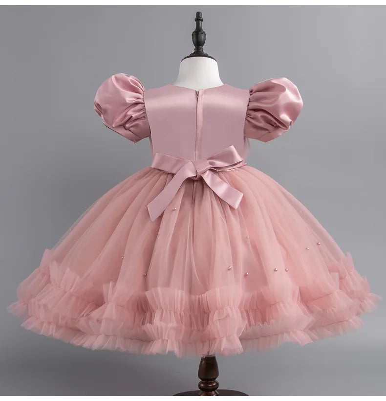 Baby Girl Princess Dress Girls' Daily Dresses Tulle Ball Gown Kid Girls Clothes