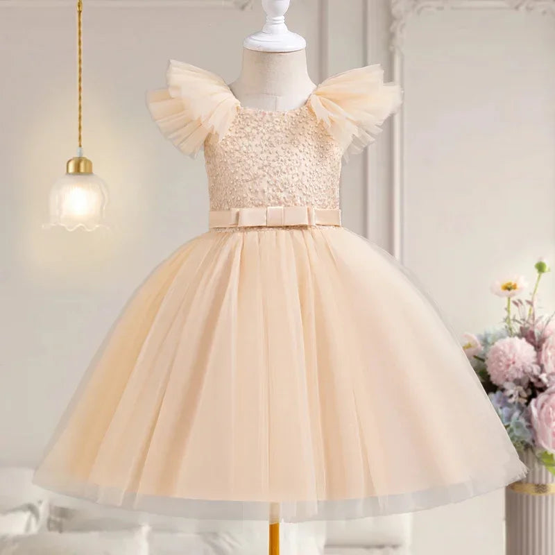 Baby Girls Bridesmaid Dress New Ruffles Lace Pageant Gown Girl Dress