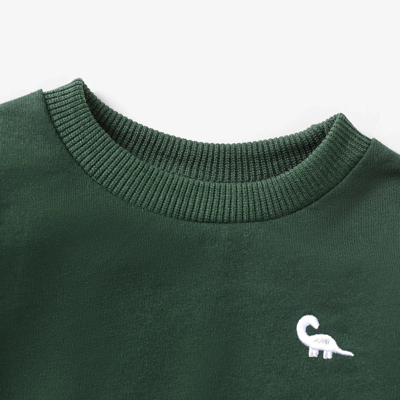 Anthony Dinosaur Embroidery Long Sleeves Sweater